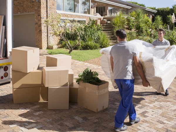 Office Shifting in Adoni